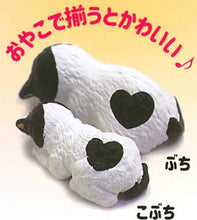 画像をギャラリービューアに読み込む, 新ボックス情報🌟2月新入荷🌟 新品日本語版ガチャシャインG 寝そべり親子猫と母猫白黒ペア