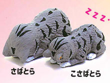 画像をギャラリービューアに読み込む, 新ボックス情報🌟 2月の新入荷🌟 新日本版ガチャシャインG 寝そべり親子猫と母猫グレーペア