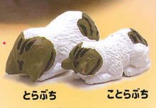 画像をギャラリービューアに読み込む, 新ボックス情報🌟 2月の新入荷🌟 新品日本語版ガチャシャインG、寝ている親子猫、メス猫、茶色と白