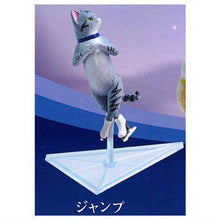 画像をギャラリービューアに読み込む, 新ボックス情報🌟12月新入荷🌟 ガチャ 日本語版 YELL Skating Cat Cat on Ice Cat Skating Cat Cat Skating Cat Gray Cat on Ice