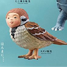 Load image into Gallery viewer, 新箱識 🌟10月新貨🌟 現貨 行版 扭蛋 Stasto Stand Stones 超自然生態顏轉生扭蛋 一套5款 龜 麻雀 腸仔 小丸子 蜘蛛網