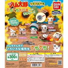 Load image into Gallery viewer, New box, ready-made version of gashapon Hamtaro Marching Part 3, striding with friends Panda Zai
