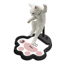 Load image into Gallery viewer, New box information 🌟New arrivals in February🌟 Ready-made brand new gashapon cat’s territory battle set of 5 cats
