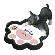 Load image into Gallery viewer, New box information 🌟New arrivals in February🌟 Ready-made brand new gashapon cat’s territory battle set of 5 cats
