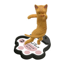 Load image into Gallery viewer, New box information 🌟New arrivals in February🌟 Ready-made brand new gashapon cat’s territory battle set of 5 cats
