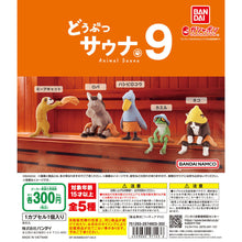 將圖片載入圖庫檢視器 新箱識 🌟  6月新貨🌟  現貨 行版 BANDAI 扭蛋 桑拿 動物 Animal 第九彈 Animals Vol. 9  狐獴

