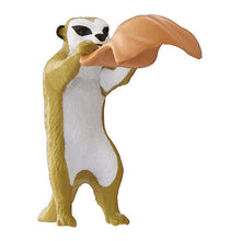 將圖片載入圖庫檢視器 新箱識 🌟  6月新貨🌟  現貨 行版 BANDAI 扭蛋 桑拿 動物 Animal 第九彈 Animals Vol. 9  狐獴
