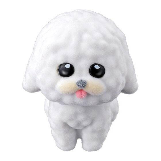 新箱識 🌟 1月新貨🌟 現貨 Bandai 扭蛋 向上望動物做型擺設 比熊犬