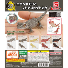 Load image into Gallery viewer, 新箱識 🌟6月新貨🌟 現貨 行版 Bandai 扭蛋 動物大圖鑑 日本壁虎和鬃獅蜥 一套5款 鬃獅蜥 多疣壁虎
