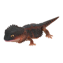 Load image into Gallery viewer, 新箱識 🌟6月新貨🌟 現貨 行版 Bandai 扭蛋 動物大圖鑑 日本壁虎和鬃獅蜥 一套5款 鬃獅蜥 多疣壁虎
