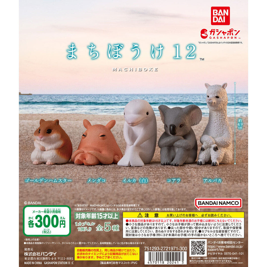 新箱識 🌟 9月新貨🌟  現貨 行版 扭蛋 BANDAI 動物等待系列12 敘利亞倉鼠  倉鼠 扁面蛸 白鯨 無尾熊 羊駝 一套5款