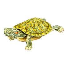 將圖片載入圖庫檢視器 新箱識 🌟6月新貨🌟 現貨 行版 BANDAI 扭蛋 大圖鑑系列 烏龜2 一套4款
