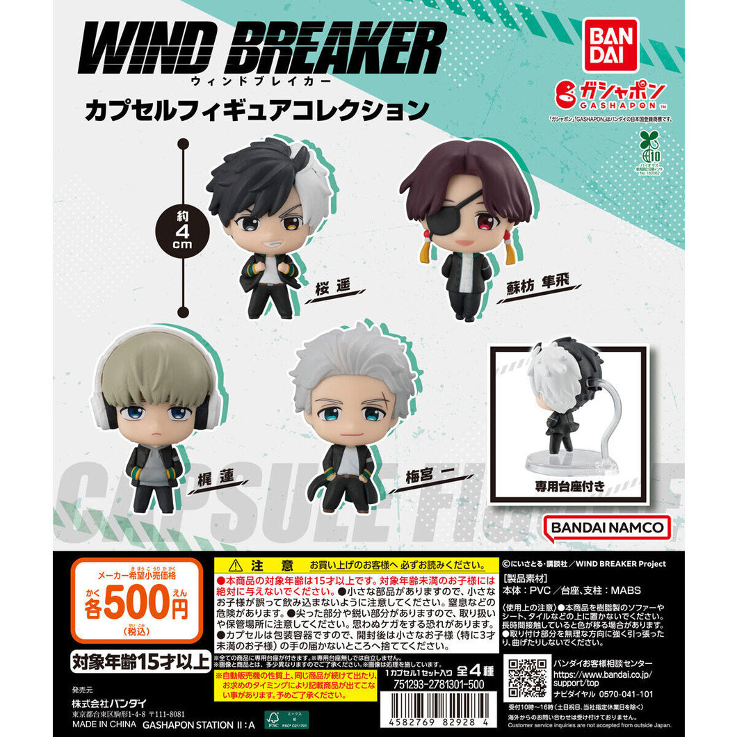 新箱識 🌟7月新貨🌟 現貨 行版 BANDAI 扭蛋 防風少年收藏公仔 一套4款 梅宮一 梶蓮 蘇枋隼飛 桜遥
