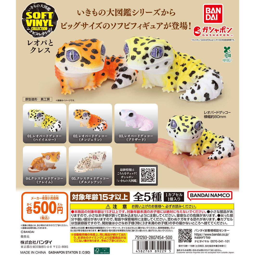 新箱識 🌟10月新貨🌟 現貨 扭蛋 行版 BANDAI 生物大圖鑑 軟膠收藏 豹紋守宮&睫角守宮 一套5款