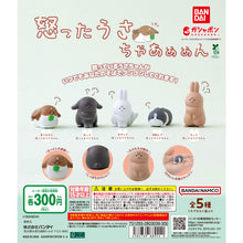 Load image into Gallery viewer, 新箱識 🌟10月新貨🌟 現貨 行版 全新 BANDAI 扭蛋 生氣的兔子公仔 一套5款 兔
