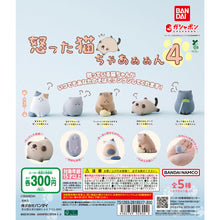 Cargar imagen en el visor de la galería, 新箱識 🌟 11月新貨🌟  現貨 行版 BANDAI 扭蛋 憤怒的小貓 4  一套5款  貓
