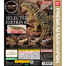 將圖片載入圖庫檢視器 新箱識 🌟6月新貨🌟 現貨 行版 Bandai 扭蛋 生物大圖鑑 爬蟲類公仔02 一套4款
