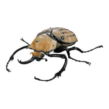 Cargar imagen en el visor de la galería, 【新箱識】【7月新貨】【現貨】【行版】【扭蛋】BANDAI 生物大圖鑑 甲蟲04 一套3款 昆蟲
