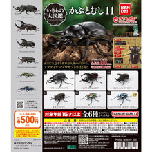 Load image into Gallery viewer, 新箱識 🌟8月新貨🌟 現貨 行版 BANDAI 扭蛋 生物大圖鑑 甲蟲11  一套6款   ❗ 大圖鑑系列扭蛋是密封式貨品如有品質問題不設退換 /優惠價貨品亦不設退換❗

