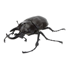 Load image into Gallery viewer, 新箱識 🌟8月新貨🌟 現貨 行版 BANDAI 扭蛋 生物大圖鑑 甲蟲11  一套6款   ❗ 大圖鑑系列扭蛋是密封式貨品如有品質問題不設退換 /優惠價貨品亦不設退換❗
