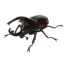 Load image into Gallery viewer, 新箱識 🌟8月新貨🌟 現貨 行版 BANDAI 扭蛋 生物大圖鑑 甲蟲11  一套6款   ❗ 大圖鑑系列扭蛋是密封式貨品如有品質問題不設退換 /優惠價貨品亦不設退換❗
