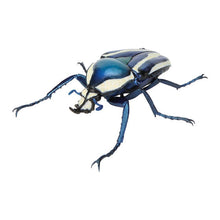Load image into Gallery viewer, 新箱識 🌟8月新貨🌟 現貨 行版 BANDAI 扭蛋 生物大圖鑑 甲蟲11  一套6款   ❗ 大圖鑑系列扭蛋是密封式貨品如有品質問題不設退換 /優惠價貨品亦不設退換❗
