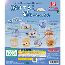 將圖片載入圖庫檢視器 【新箱識】【9月新貨】【現貨】【行版】【扭蛋】BANDAI 溶化的貓貓時刻 造型公仔 一套5款
