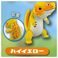 Cargar imagen en el visor de la galería, 新箱識 🌟10月新貨🌟 現貨 日版 SO-TA - フトアゴン (FUTOAGON by toshihikoito) 守宮 蜥蝪

