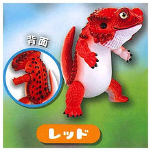 Cargar imagen en el visor de la galería, 新箱識 🌟10月新貨🌟 現貨 日版 SO-TA - フトアゴン (FUTOAGON by toshihikoito) 守宮 蜥蝪
