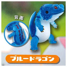 Cargar imagen en el visor de la galería, 新箱識 🌟10月新貨🌟 現貨 日版 SO-TA - フトアゴン (FUTOAGON by toshihikoito) 守宮 蜥蝪

