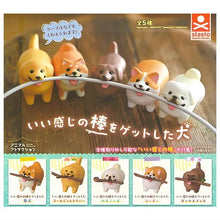 將圖片載入圖庫檢視器 新箱識 🌟 8月新貨🌟  現貨 行版 扭蛋 Stasto Stand Stones 狗與樹枝吊飾 一套5款  柴犬 臘腸犬 北京狗 柯基犬 尋回犬
