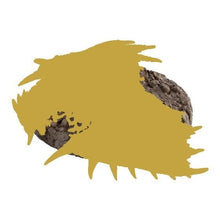 將圖片載入圖庫檢視器 新箱識 🌟 3月新貨🌟  現貨 全新 食玩 BANDAI魔物獵人 捕獲獵物系列3 一套4款 /  MONSTER HUNTER LET’S CAPTURE 3  $200-特別版-金色  (一套4款)

