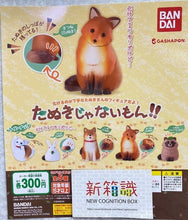 將圖片載入圖庫檢視器 新箱識 現貨 行版 Bandai 扭蛋 這不是狸貓？！ 貓
