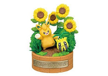 Load image into Gallery viewer, 新箱識 🌟8月新貨🌟 現貨 全新 行版 Rement 寶可夢 POKEMON 精靈寶可夢森林故事 布土撥 向日種子
