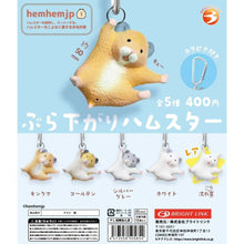 画像をギャラリービューアに読み込む, 新箱識 🌟9月新貨🌟 現貨 日版 扭蛋 BRIGHT LINK 懸吊倉鼠 一套5款 垂吊倉鼠
