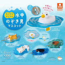 將圖片載入圖庫檢視器 【新箱識】【7月新貨】【現貨】【行版】【扭蛋】stasto 游泳小動物 一套5款
