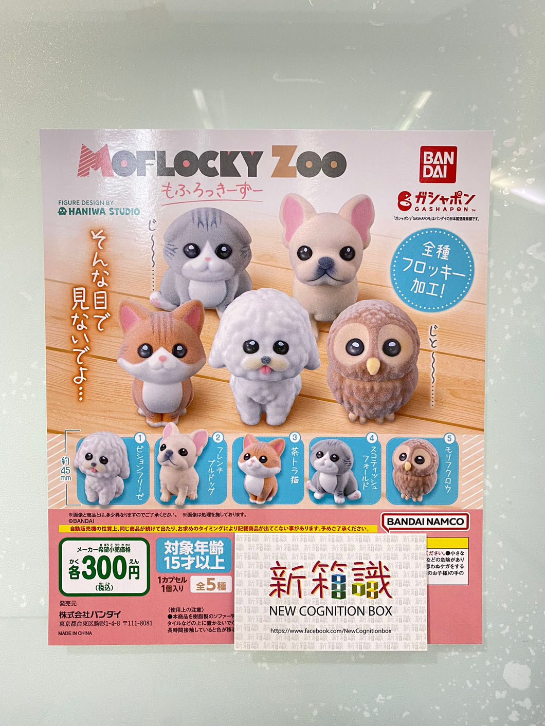 新箱識  🌟1月新貨🌟 現貨 Bandai  扭蛋 向上望動物做型擺設 一套5款 比熊犬  法國鬥牛犬 虎斑貓 蘇格蘭摺耳貓 灰林鴞 貓頭鷹
