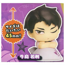 Cargar imagen en el visor de la galería, 新箱識 🌟10月新貨🌟 現貨 行版 扭蛋 Stasto Stand Stones 排球少年 趴趴扭蛋 Vol.2 一套5款 赤葦京治 .木兎光太郎 及川徹 岩泉一 牛島若利

